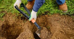 Tree Planting Safety